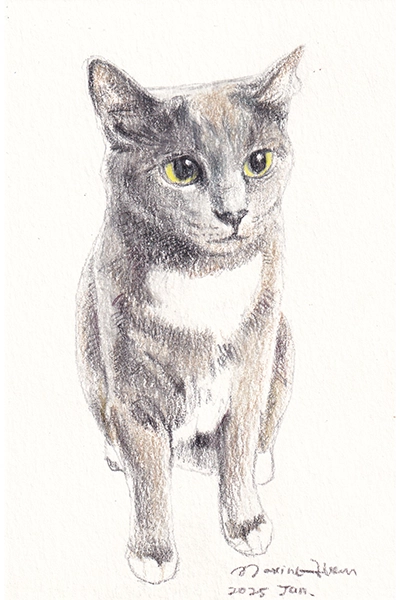 Drawing 11